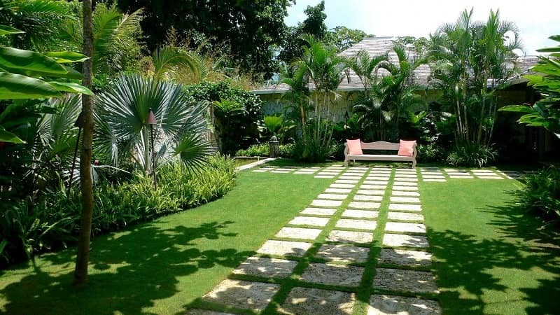 Background sân vườn đơn giản nhưng siêu đẹp